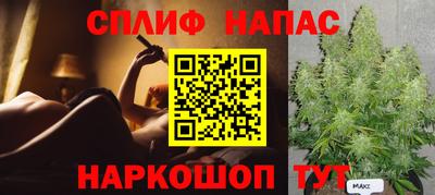 индика Ирбит