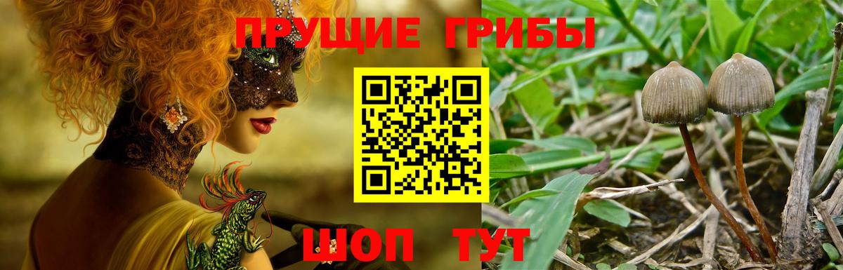 МЕФ   ГАШИШ  Наркошоп  Канабис  Экстази  НБОМе  Марихуана  Щёлково  Вход с VPN 